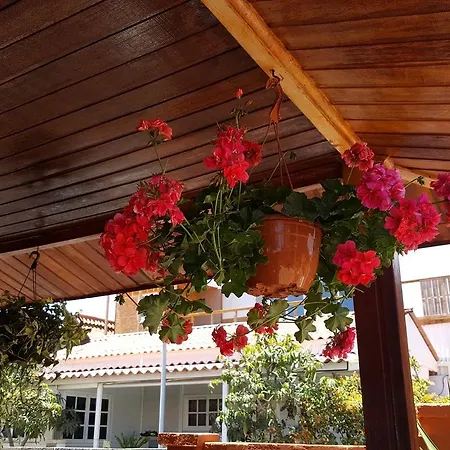 Chalet Club Camping - 2 *